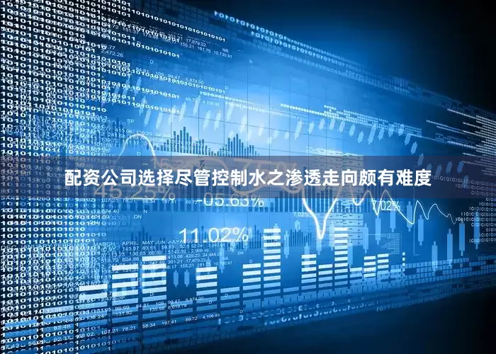 配资公司选择尽管控制水之渗透走向颇有难度