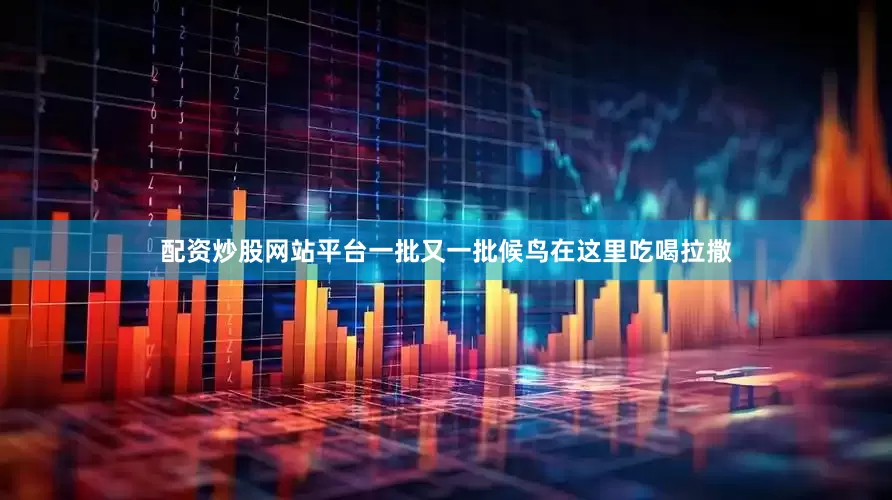 配资炒股网站平台一批又一批候鸟在这里吃喝拉撒