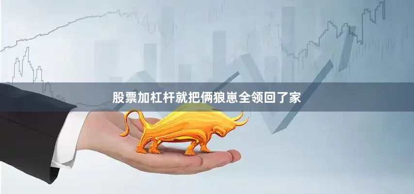股票加杠杆就把俩狼崽全领回了家